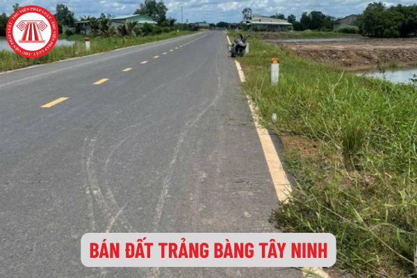 Pháp Luật Nhà Đất