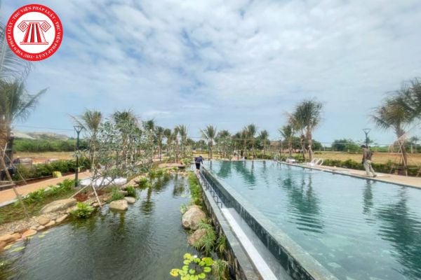 Pháp Luật Nhà Đất