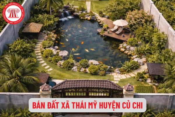 Pháp Luật Nhà Đất