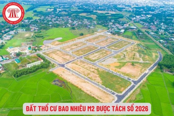 Pháp Luật Nhà Đất