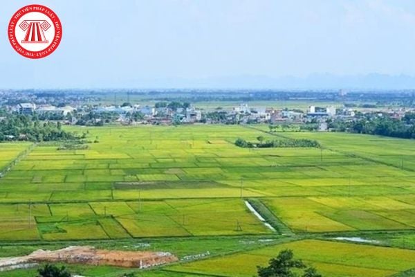Pháp Luật Nhà Đất