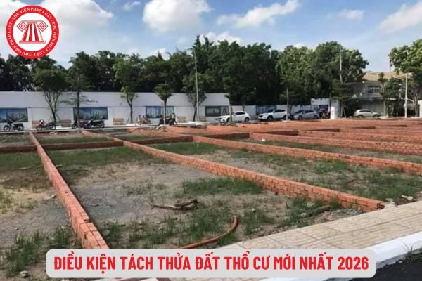 Pháp Luật Nhà Đất