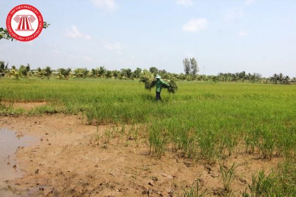 Pháp Luật Nhà Đất
