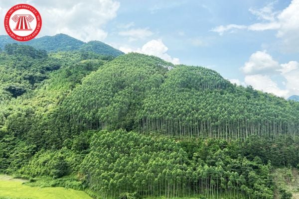 Pháp Luật Nhà Đất