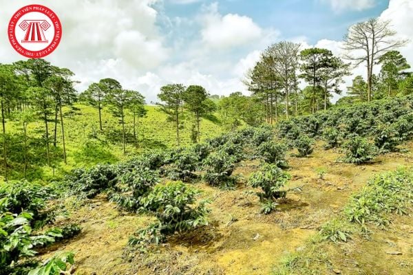 Pháp Luật Nhà Đất