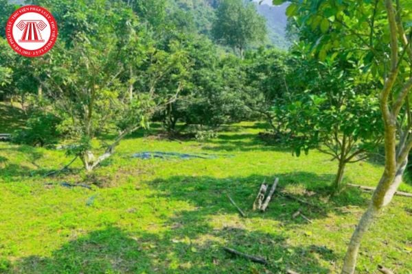 Pháp Luật Nhà Đất