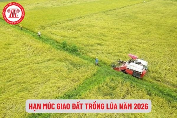 Pháp Luật Nhà Đất