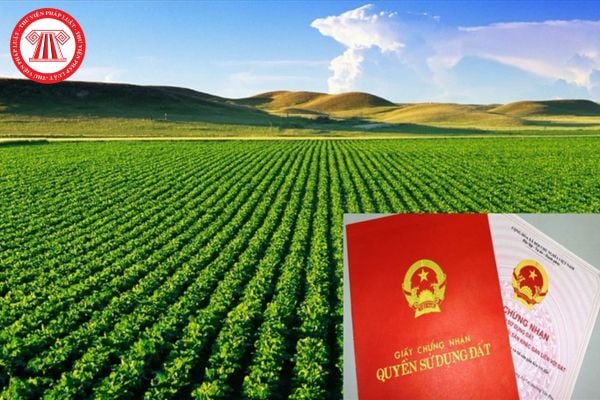 Hạn mức nhận chuyển quyền sử dụng đất nông nghiệp của cá nhân năm 2026 là bao nhiêu?