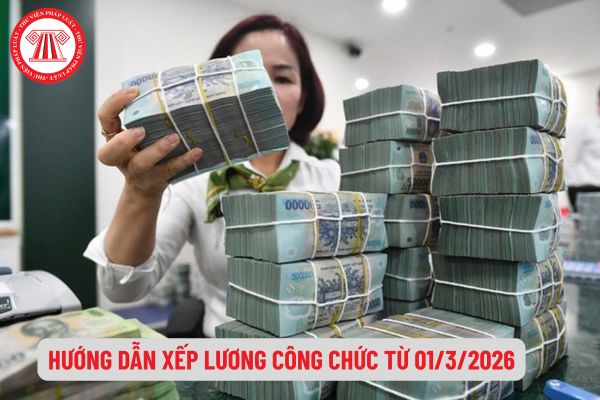 Pháp Luật Nhà Đất