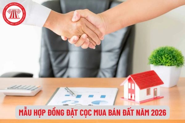 Pháp Luật Nhà Đất
