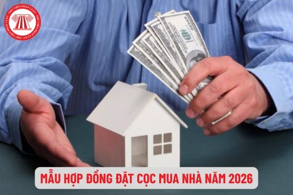 Pháp Luật Nhà Đất