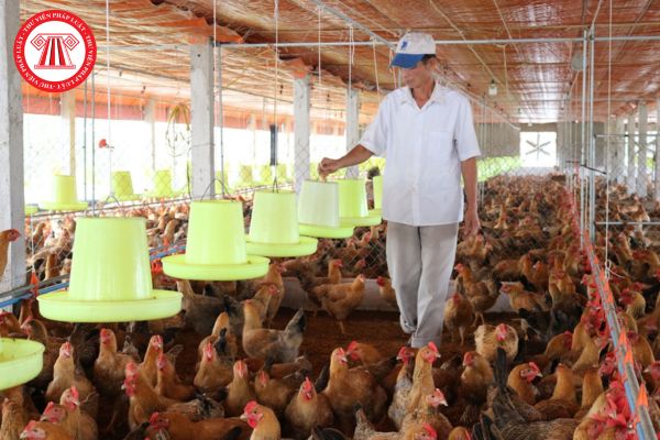Pháp Luật Nhà Đất