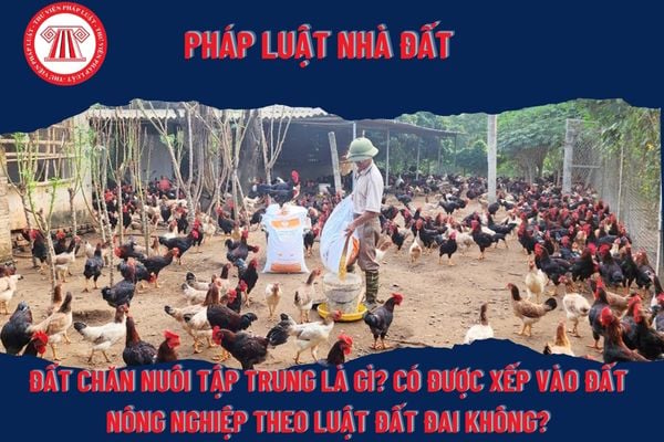 Pháp Luật Nhà Đất