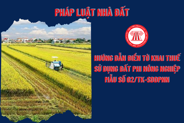 Pháp Luật Nhà Đất