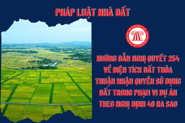 Pháp Luật Nhà Đất