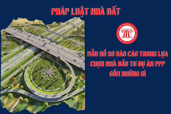 Mẫu hồ sơ báo cáo trong lựa chọn nhà đầu tư dự án PPP gồm những gì theo Thông tư 142?