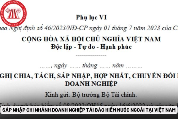 Sáp nhập chi nhánh doanh nghiệp tái bảo hiểm nước ngoài tại Việt Nam