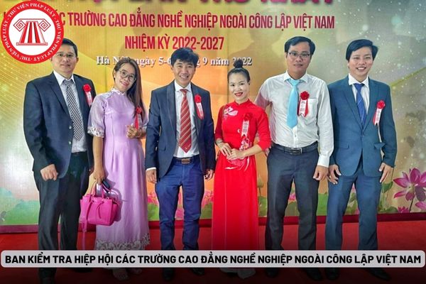 Ban Kiểm tra Hiệp hội Các trường cao đẳng nghề nghiệp ngoài công lập Việt Nam