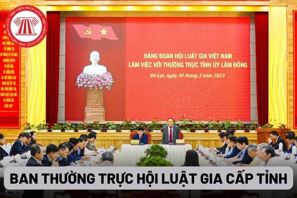 Ban Thường trực Hội Luật gia cấp tỉnh