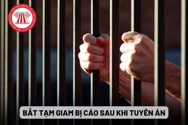 Bắt tạm giam bị cáo sau khi tuyên án