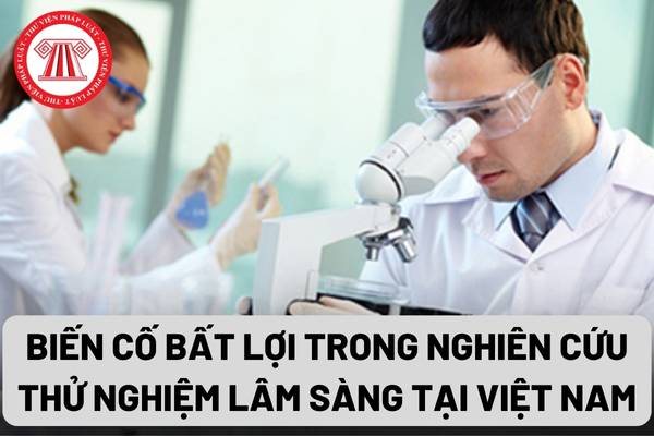 Biến cố bất lợi trong nghiên cứu thử nghiệm lâm sàng tại Việt Nam