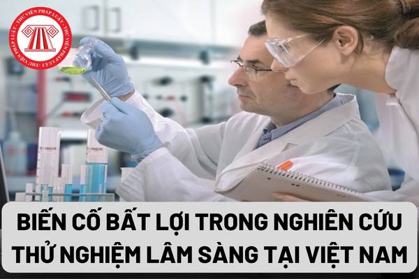 Biến cố bất lợi trong nghiên cứu thử nghiệm lâm sàng tại Việt Nam