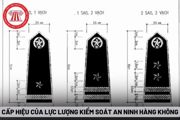 Cấp hiệu của lực lượng kiểm soát an ninh hàng không