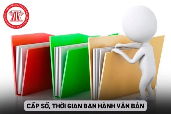 Cấp số, thời gian ban hành văn bản