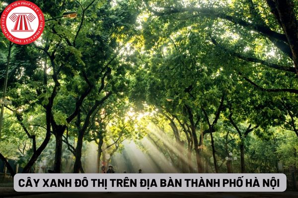 Cây xanh đô thị trên địa bàn thành phố Hà Nội
