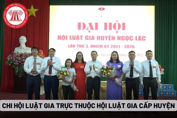 Chi hội Luật gia trực thuộc Hội Luật gia cấp huyện