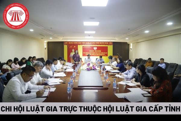 Chi hội Luật gia trực thuộc Hội Luật gia cấp tỉnh