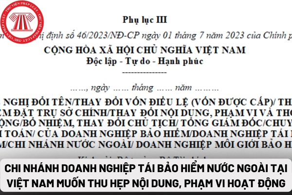 Chi nhánh doanh nghiệp tái bảo hiểm nước ngoài tại Việt Nam muốn thu hẹp nội dung, phạm vi hoạt động