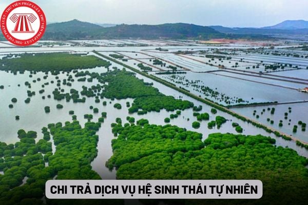 Chi trả dịch vụ hệ sinh thái tự nhiên