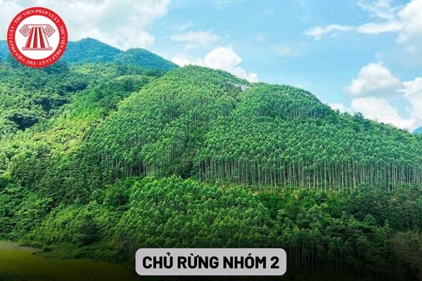 Chủ rừng nhóm 2