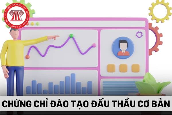 Cấp chứng chỉ đào tạo đấu thầu cơ bản