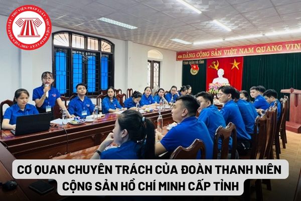 Cơ quan chuyên trách của đoàn thanh niên cộng sản Hồ Chí Minh cấp tỉnh