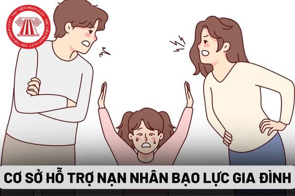 Cơ sở hỗ trợ nạn nhân bạo lực gia đình