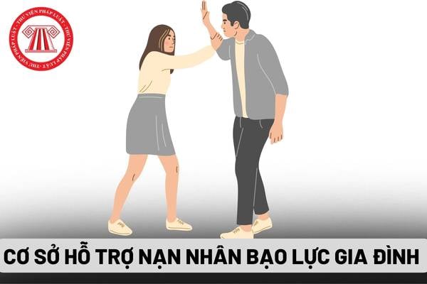 Cơ sở hỗ trợ nạn nhân bạo lực gia đình