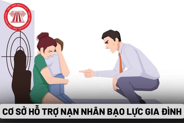 Cơ sở hỗ trợ nạn nhân bạo lực gia đình