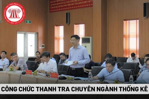 Công chức thanh tra chuyên ngành thống kê