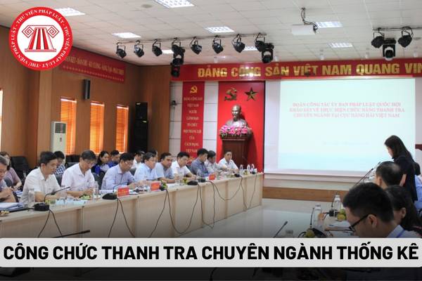 Công chức thanh tra chuyên ngành thống kê