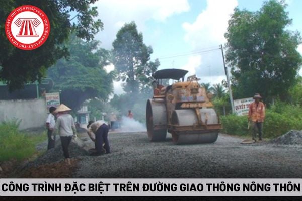 Công trình đặc biệt trên đường giao thông nông thôn