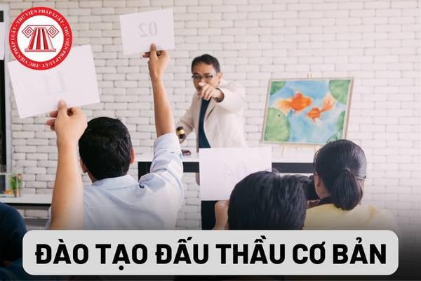 Đào tạo đấu thầu cơ bản