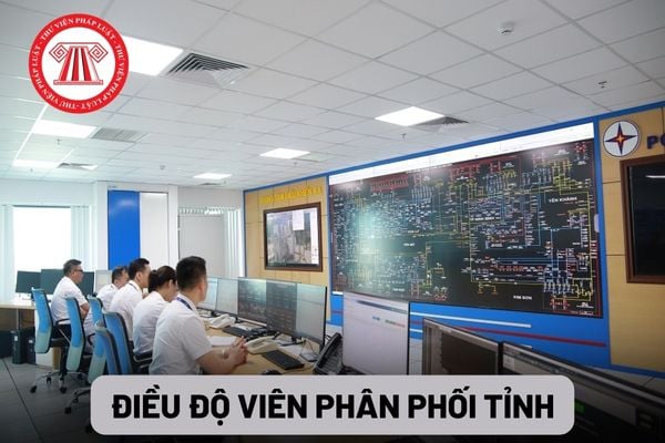 Điều độ viên phân phối tỉnh