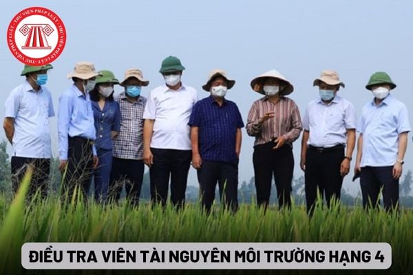 Điều tra viên tài nguyên môi trường hạng 4