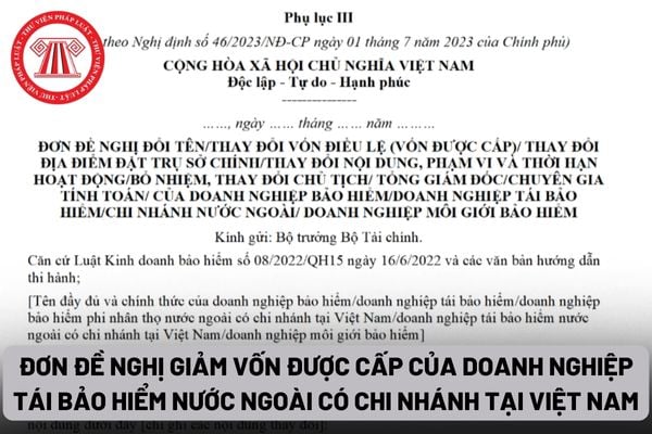 Đơn đề nghị giảm vốn được cấp của doanh nghiệp tái bảo hiểm nước ngoài có chi nhánh tại Việt Nam