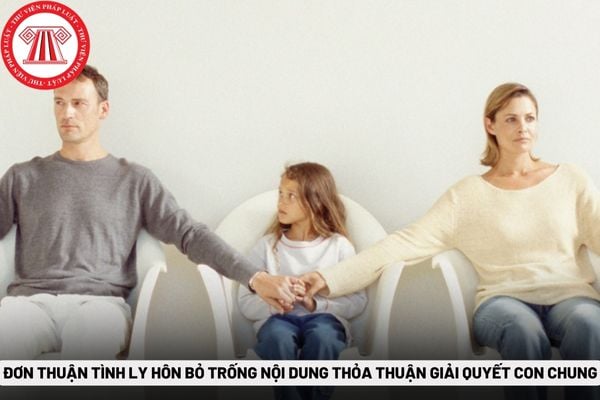 Đơn thuận tình ly hôn bỏ trống nội dung thỏa thuận giải quyết con chung