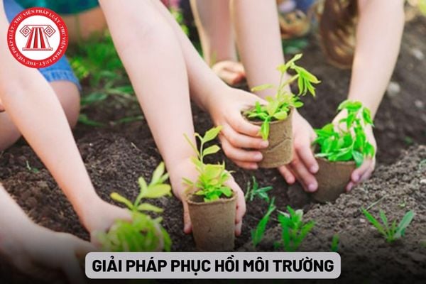 Giải pháp phục hồi môi trường