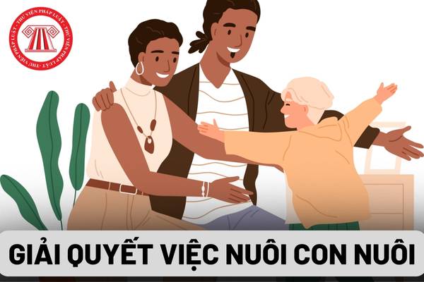 Công tác giải quyết việc nuôi con nuôi