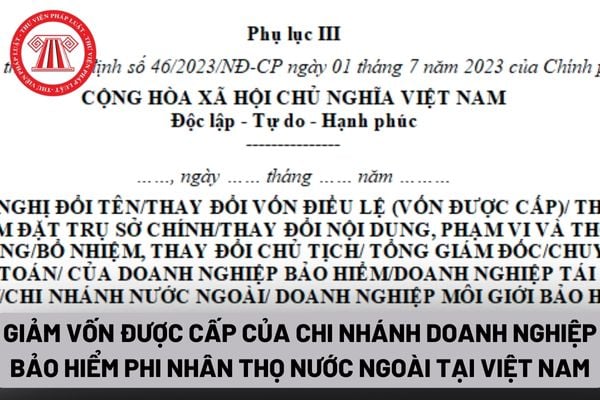 Đơn đề nghị giảm vốn được cấp của chi nhánh doanh nghiệp bảo hiểm phi nhân thọ nước ngoài tại Việt Nam